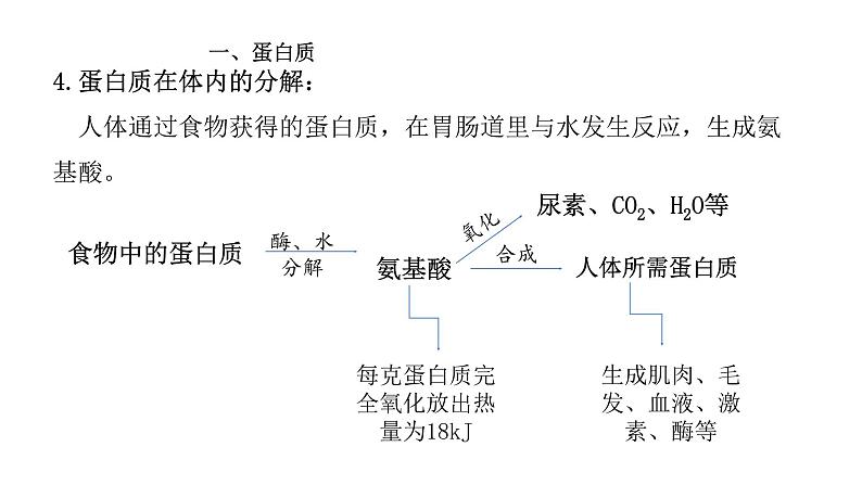 12.1人类重要的营养物质课件九年级化学人教版下册07