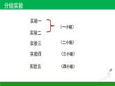 人教版九年级化学下册实验活动6酸碱的化学性质课件