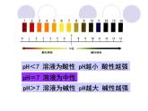 人教版化学九年级下册第十单元实验活动7　溶液酸碱性的检验课件PPT