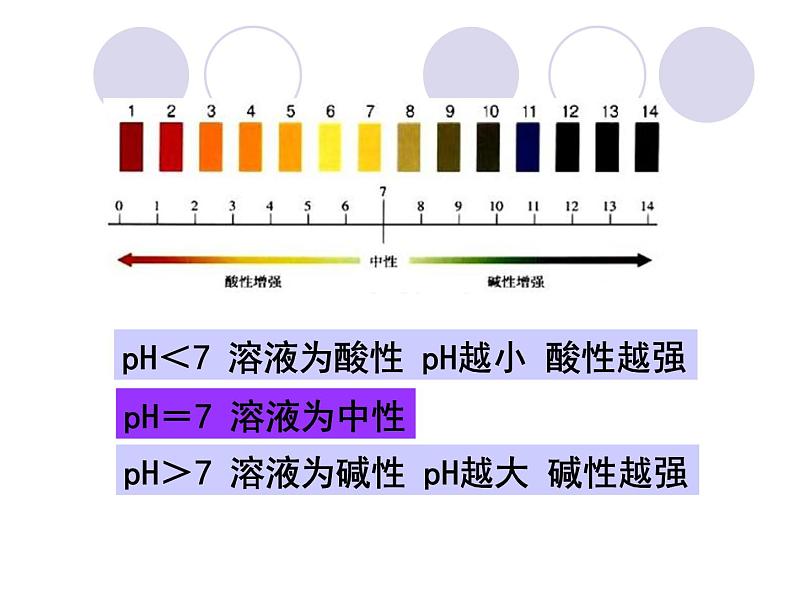 人教版化学九年级下册第十单元实验活动7　溶液酸碱性的检验课件PPT第5页