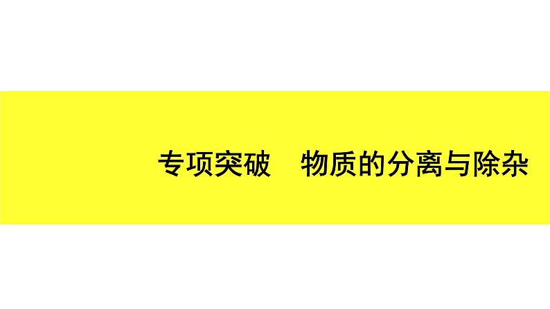 04.专项突破　物质的分离与除杂第1页