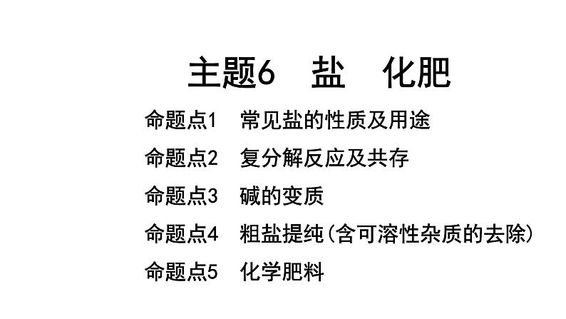 2022年陕西省中考化学一轮复习课件：主题6　盐　化肥第1页