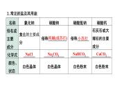 2022年陕西省中考化学一轮复习课件：主题6　盐　化肥