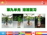 人教版化学第九单元 溶液的形成(复习）课件PPT