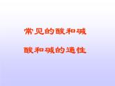 人教版九年级化学复习常见的酸和碱课件PPT
