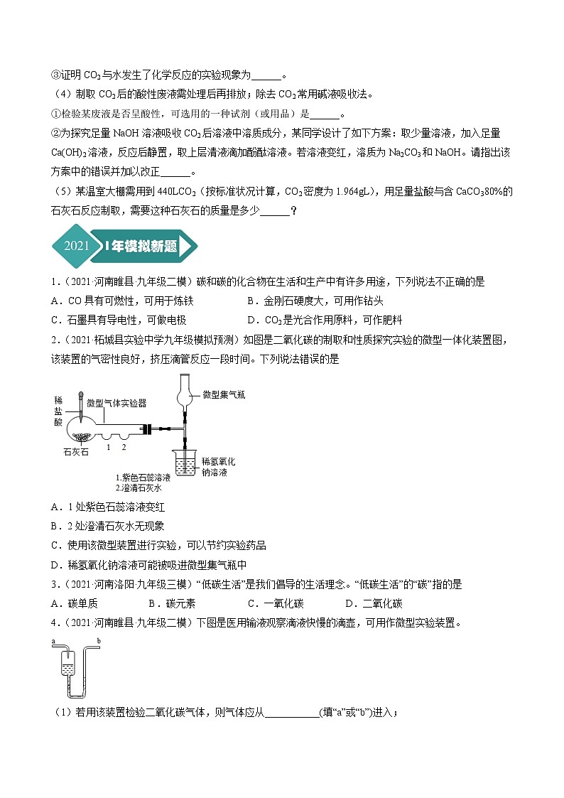 专题09 碳和碳的氧化物-5年（2017-2021）中考1年模拟化学分项汇编（河南专用）（原卷版）第3页