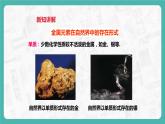6.3 金屬礦物與冶煉（課件+教案+學(xué)案+練習(xí)）