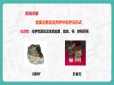 6.3 金屬礦物與冶煉（課件+教案+學(xué)案+練習(xí)）