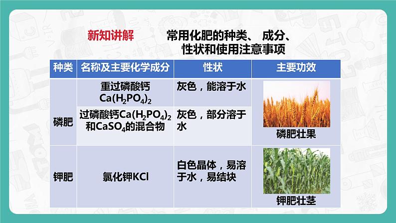 8.5 化学肥料（课件+教案+学案+练习）06