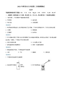 2021年河南省新乡市辉县市中考二模化学试题及答案