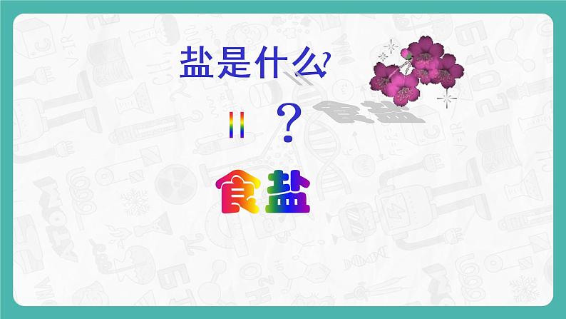 8.4 常见的盐（第1课时）（课件+教案+学案+练习）03