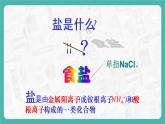8.4 常見的鹽（第1課時(shí)）（課件+教案+學(xué)案+練習(xí)）