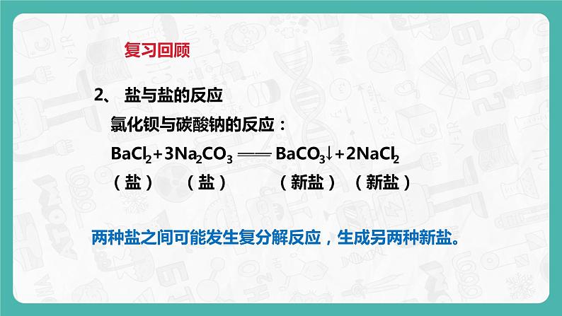 8.4 常见的盐（第2课时）（课件+教案+学案+练习）04