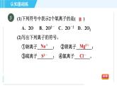 人教版九年级上册化学 第3单元 3.2.2 目标二　离子 习题课件