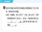 人教版九年级上册化学 第1单元 1.2.1 对蜡烛及其燃烧的探究 习题课件