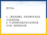 11.1.1 生活中常见的盐（课件+教案+练习）