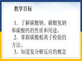 11.1.2 生活中常见的盐（课件+教案+练习）