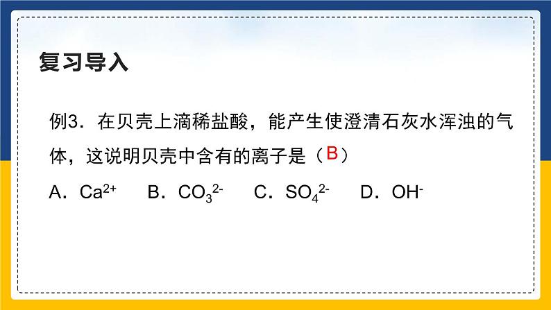 11.1.3 生活中常见的盐（课件+教案+练习）04