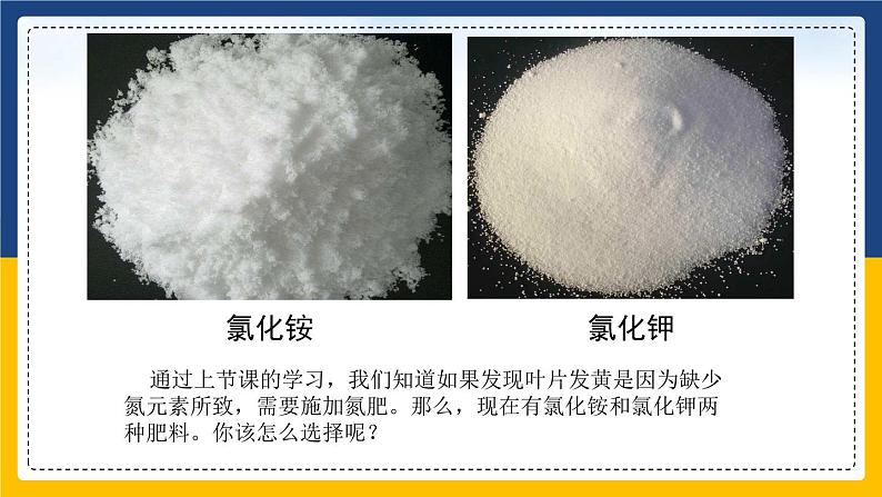 11.2.2 化学肥料（课件+教案+练习）06