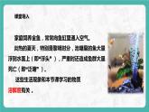 9.2.2 溶解度（课件+教案+学案+练习）