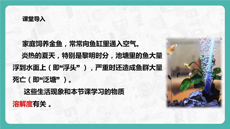 9.2.2 溶解度 同步课件第3页