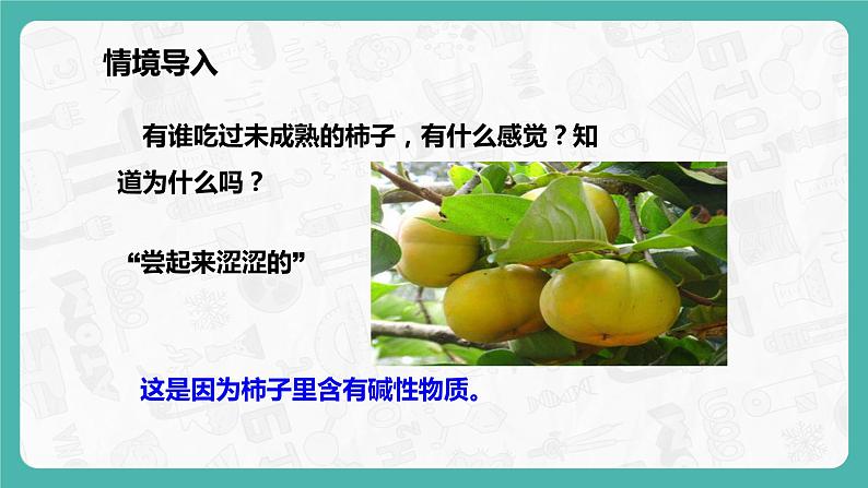 10.1.3 常见的酸和碱（课件+教案+学案+练习）06