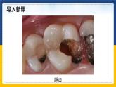 12.2 化学元素与人体健康（课件+教案+练习）