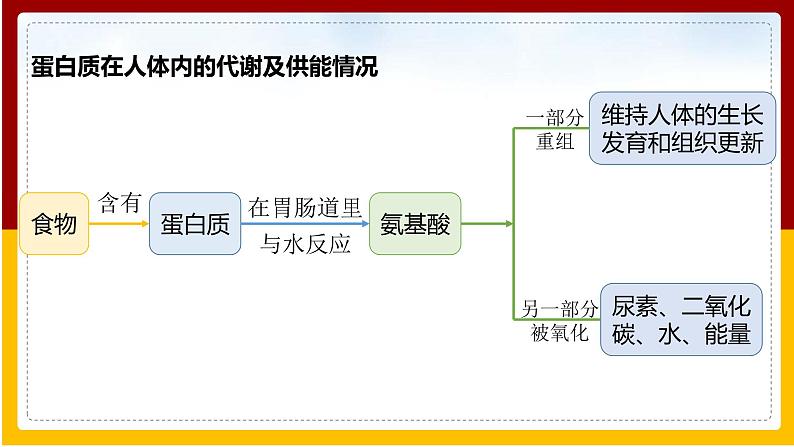 第12单元 化学与生活 第1课 人类重要的营养物质课件PPT第6页