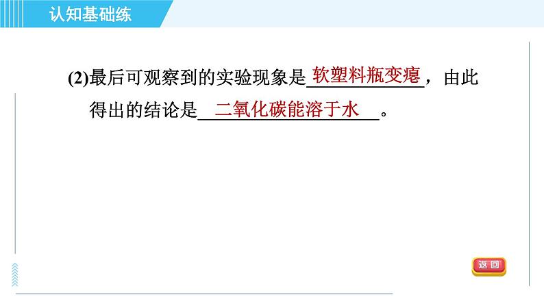 人教版九年级上册化学 第6单元 6.3.1 目标一　二氧化碳的性质 习题课件07