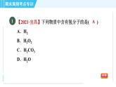 人教版九年级上册化学 期末专训2  物质构成的奥秘 习题课件