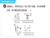 人教版九年级上册化学 期末专训5  化学实验 习题课件