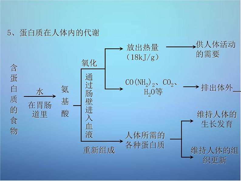 人教五四制初中化学九年级全册《第五单元 课题1 人类重要的营养物质》课件PPT07