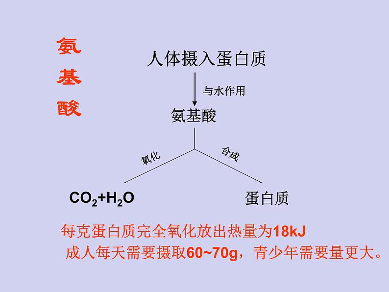 人教五四制初中化学九年级全册《第五单元 课题1 人类重要的营养物质》课件PPT05