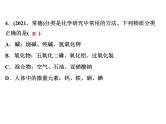 2022年人教版化学中考专题训练　物质的分类课件PPT
