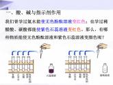 10.1 常见的酸和碱 课件+教案+视频