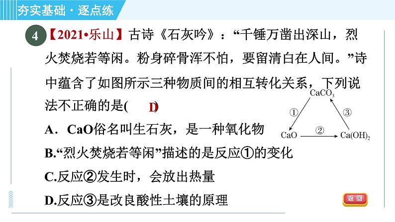 鲁教五四版九年级全一册化学 第2单元 2.2 碱及其性质 习题课件第8页
