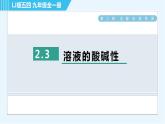 魯教五四版九年級全一冊化學(xué) 第2單元 2.3 溶液的酸堿性 習(xí)題課件