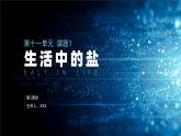 11.1.1+生活中常见的盐（第1课时）-2021-2022学年九年级化学下册公开课精品课件（人教版）