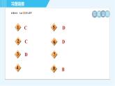 魯教五四版九年級全一冊化學(xué) 第2單元 專訓(xùn) 中和反應(yīng)面面觀 習(xí)題課件