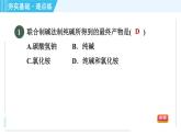 魯教五四版九年級全一冊化學(xué) 第3單元 3.3.1 氨堿法制純堿 習(xí)題課件