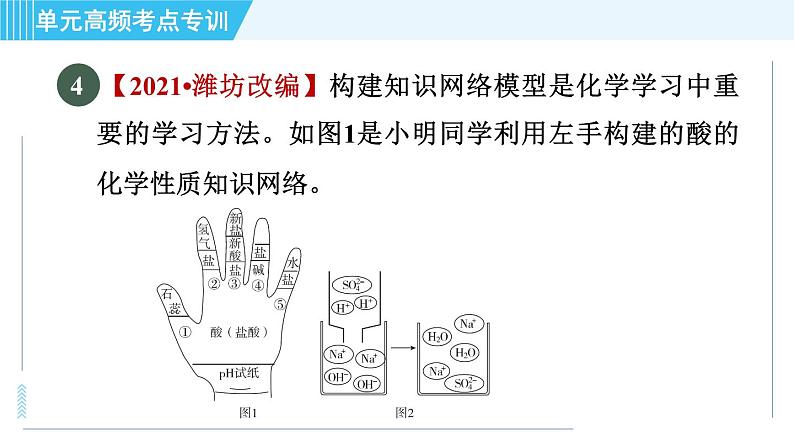 鲁教五四版九年级全一册化学 第2单元 单元高频考点专训 习题课件08