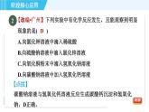 鲁教五四版九年级全一册化学 第3单元 专训 复分解反应的应用 习题课件