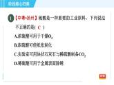 魯教五四版九年級全一冊化學(xué) 第2單元 專訓(xùn) 酸和堿的性質(zhì) 習(xí)題課件