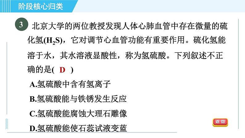 鲁教五四版九年级全一册化学 第2单元 专训 酸和碱的性质 习题课件05