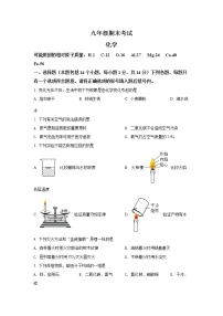 河南省濮阳市2021-2022学年九年级上学期期末化学试题（文字版，含答案）