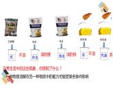 6.3 物質(zhì)的溶解性（課件+教案+練習(xí)+導(dǎo)學(xué)案）