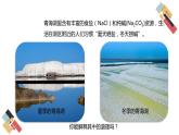 6.3 物質(zhì)的溶解性（課件+教案+練習(xí)+導(dǎo)學(xué)案）