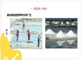 7.3 幾種重要的鹽 第2課時(shí)（課件+教案+練習(xí)+導(dǎo)學(xué)案）