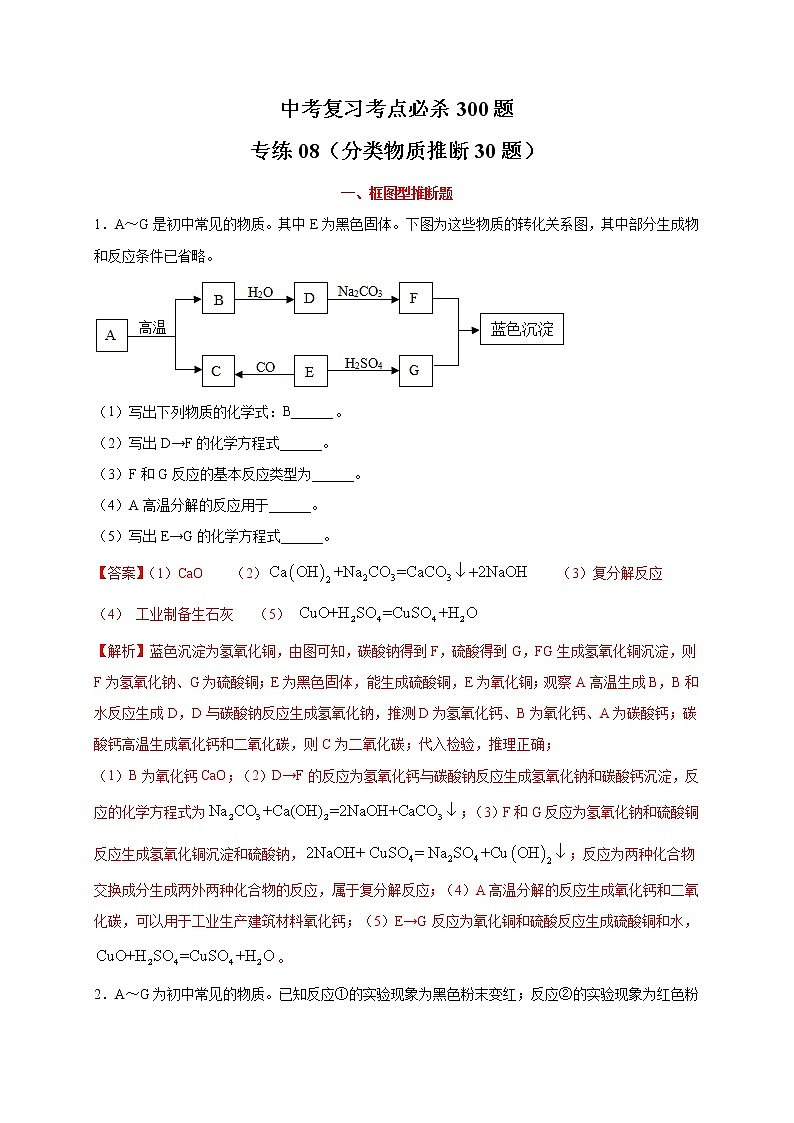 专练08（分类物质推断30题）-（解析版）第1页