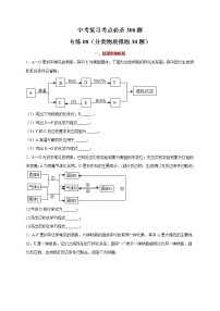 2022年化学专题冲刺     专练08（分类物质推断30题）